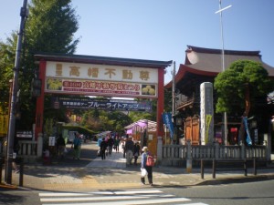 年末年始のお誘い・・・｜日野女子の部